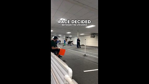 race decide