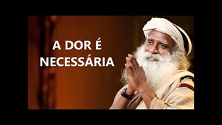 DOR É NECESSÁRIA, SADHGURU, DUBLADO