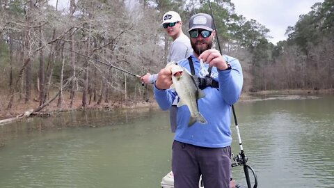 Bedding Bass Caught on EXTREMELY Unusual Bait!!!