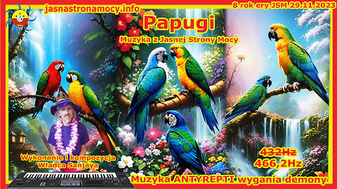 Papugi – Wykonanie i kompozycja Władca Sanjaya – Muzyka JSM – ANTYREPTI