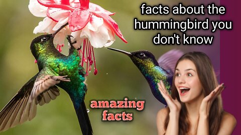 Discover the Shocking and Amazing facts about the hummingbird | world's smallest birds