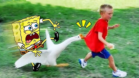 Don't Chase Me !! Funniest Baby Fails Compilation | Spongebob in Real Life - Woa Doodland