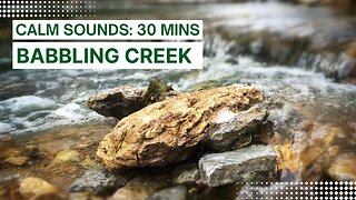 Relaxing, Calm, Sleep, Meditation Music • Babbling Creek (30mins)