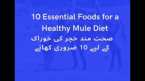 10 Essential Foods for a Healthy Mule Diet