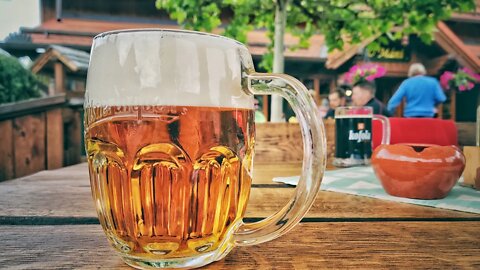 🇨🇿Beer and Food All Day Long in Czech Republic