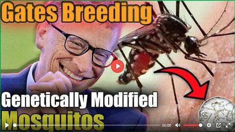 Pedophile Satanist Bill Gates World's Largest Mosquito Factory! [21.11.2023]