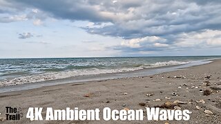 4K Ambient Sounds - Ocean Waves | Florida | View S Atlantic Ave Hangar's Beach | 20230618