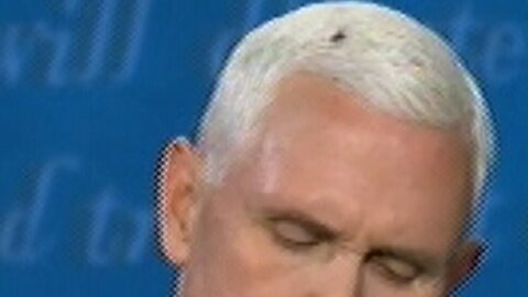 Fly Lands On Mike Pence Head And Stays There For 2 Minutes During 2020 Vice Presidential Debate!