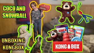 Opening up the Valentine's Kong Subscription Box with Coco and Snowball! Feb 2022