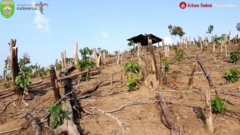 YUNANI - RINDU HATI - Gitar Tunggal Batanghari Sembilan Daerah OKU , Sumatera Selatan 1978