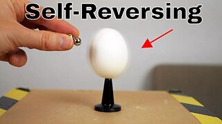 The Self-Reversing Spin Experiment-Easy Homemade Rattleback