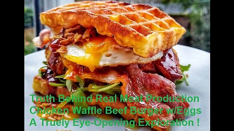 Truth Behind Meat Production Chicken Waffle Beef Burger An Eye-Opening Exploration