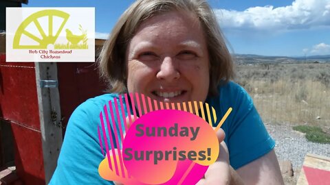 Sunday Surprises