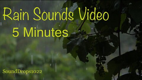 One Relaxing 5 Minutes Of Rain Sounds Video