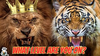 DO YOU HAVE LEVELS