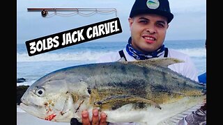 Big Jack Crevalle from Rocks!!!