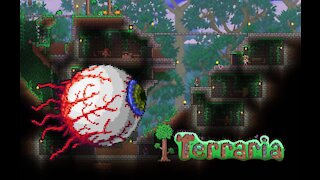 The Terraria Has Eyes