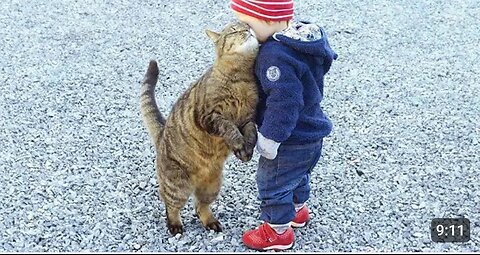 When you are my one and only special friend👶❤️🐱Cute Cats and Human
