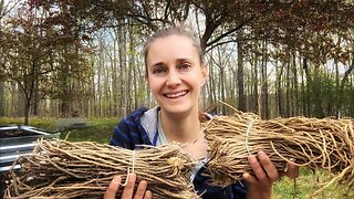 Plant Asparagus & Strawberries With Me! | VLOG