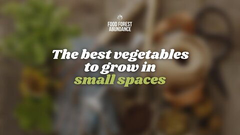 The best vegetables to grow in small spaces