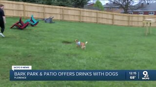 New taproom with dog park opens in Florence on Saturday