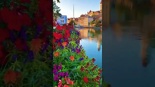 Switzerland 🇨🇭 | #shortvideos #viral #shortvideos #travel #inspirationalquotes #viral