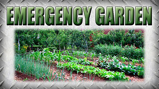 What if You Need to Start a Garden Tomorrow With Zero Warning?