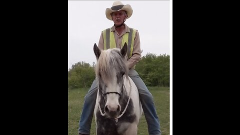 Start Right!! - Safely mounting a totally green horse for the first time. Defusing the four anti-predator triggers associated with mounting a horse.