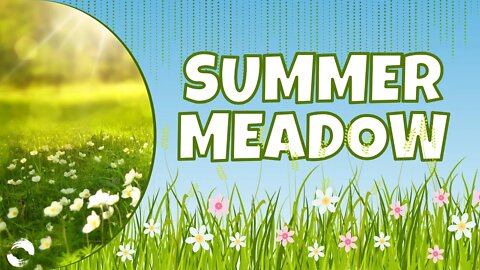 1 Hour Summer Meadow Ambience Sound for Meditation Relaxing, Studying