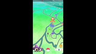 Live Pokémon GO