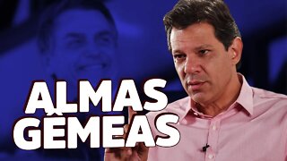 Candidatura de Haddad alimenta Bolsonaro