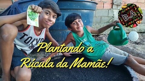 Plantando a RÚCULA da MAMÂE! #hortaorganica #hortaemcasa