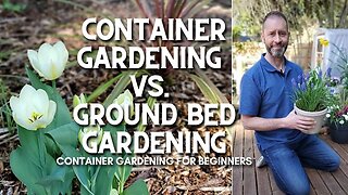 🌿 Container Gardening vs. Ground Bed Gardening for Beginners #shorts 🌿