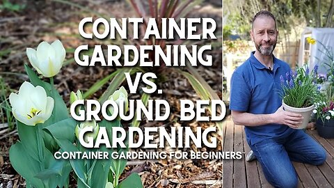 🌿 Container Gardening vs. Ground Bed Gardening for Beginners #shorts 🌿