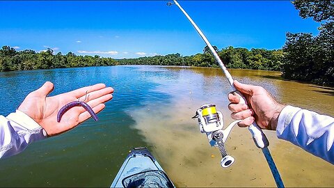 This CRAZY Mixing Water was LOADED with Bass | Fall Fishing