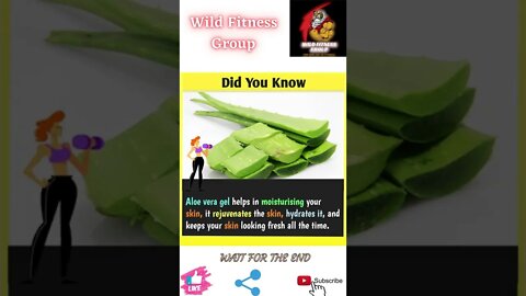 🔥Benefits of aloe vera gel🔥#shorts🔥#wildfitnessgroup🔥14 May 2022🔥