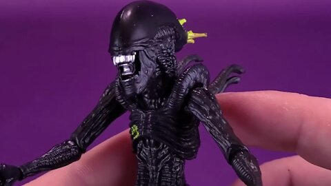 Hiya Toys AVP Blowout Alien Exquisite Mini @The Review Spot