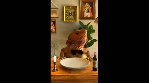 Lizard🦎Eating👀At🪑The🍽️Table🤪🤣😎