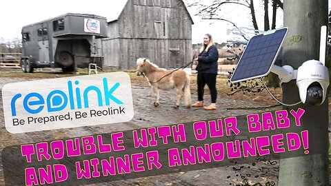 Trouble With Our Baby Horse And Reolink Security Camera Giveaway Winner Announced