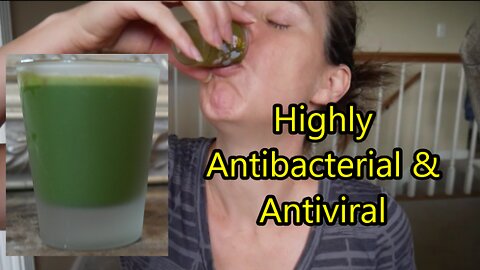 Relieve Gas, Stomach Cramps, & Nausea - Highly Antibacterial & Antiviral