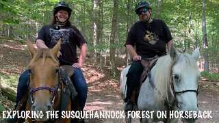 Exploring the Susquehannock Forest on Horseback - Summit Trail Rides
