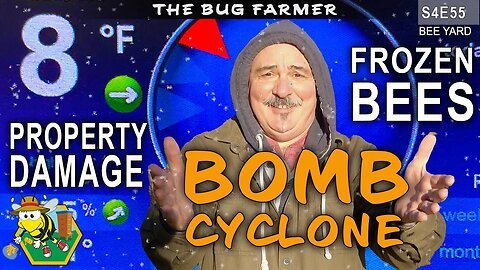 Bomb Cyclone | Freezing Temps | Property Damage | Will the bees freeze? #beekeeping #insects