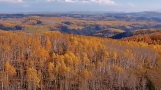 How Climate Change Is Affecting Fall Foliage