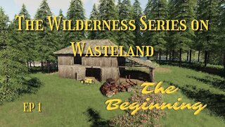 The Wilderness Series on Wasteland / Ep 1 / The Beginning / Lets Play / PC /FS19