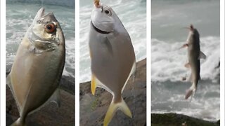 PESCARIA DE COSTÃO COM MUITA AÇÃO (COAST FISHING WITH LOTS OF ACTION)