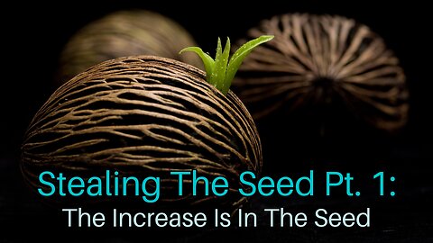 Stealing The Seed Pt. 1: The Increase Is In The Seed