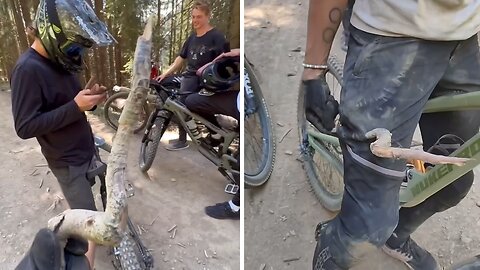 Close Call: Terrifying Encounter As Tree Branch Pierces Girl's Trousers