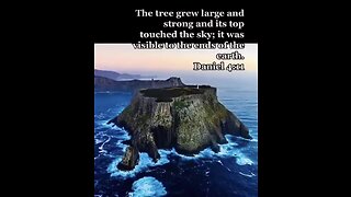 Massive giant trees of our past as explained by the book of Daniel 4:11