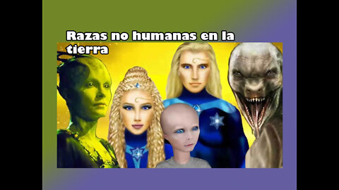 Razas de extraterrestres en la tierra