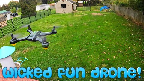 SUPER FUN FLYING DRONE: AVIALOGIC H22 RC Drone with HD Camera for Adults, Quadcopter with FPV
